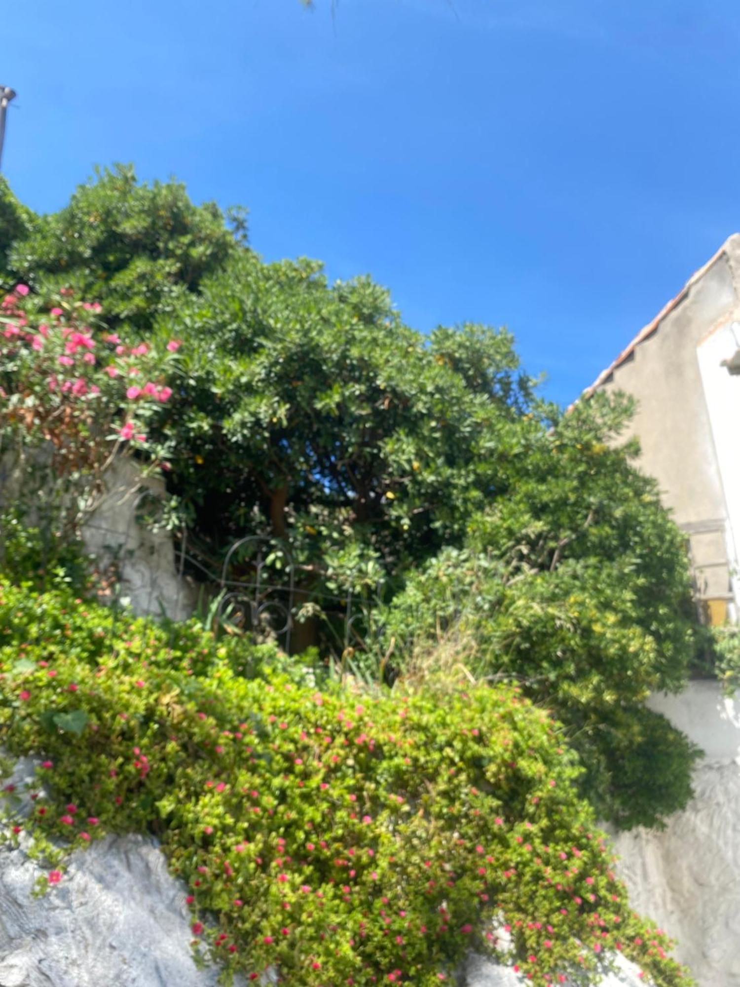 Au Coeur Du Parc National Du Massif Des Calanques, La Flibuste Des Goudes, Maison 2 Chambres, Climatisee, Jardins, Solarium, Proche Plage, Large Vue Mer 마르세유 외부 사진